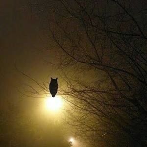 Meet your Posher, Vickie